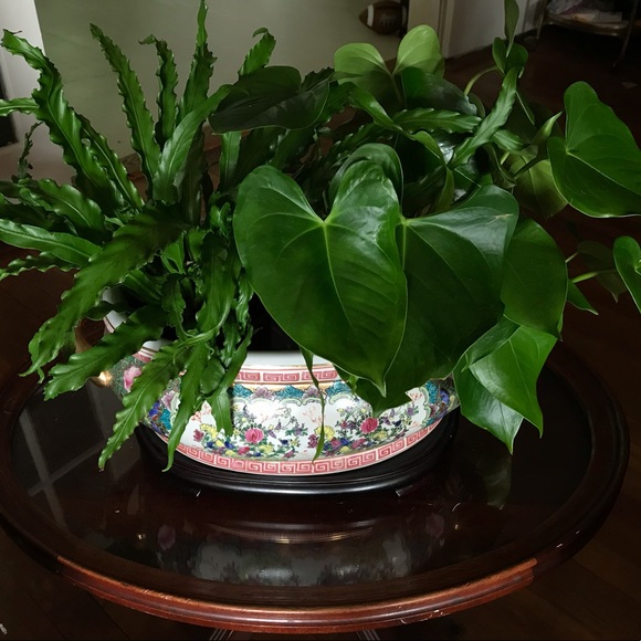 Grandmillennial Style - Picture 16 of 16